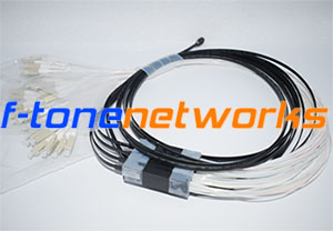 CWDM & DWDMָ/⸴